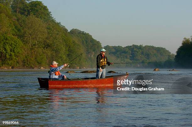 Fishermen try for the early morning catch of the day during the Congressional Sportsmen's Foundation annual shad fishing event on the Potomac River...