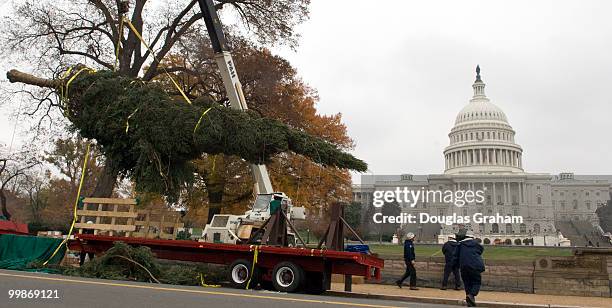 This year's Capitol Christmas Tree is a gift from the people of Vermont. This is actually the fifth time that Vermont has provided a tree to...