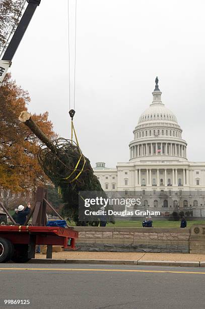 This year's Capitol Christmas Tree is a gift from the people of Vermont. This is actually the fifth time that Vermont has provided a tree to...