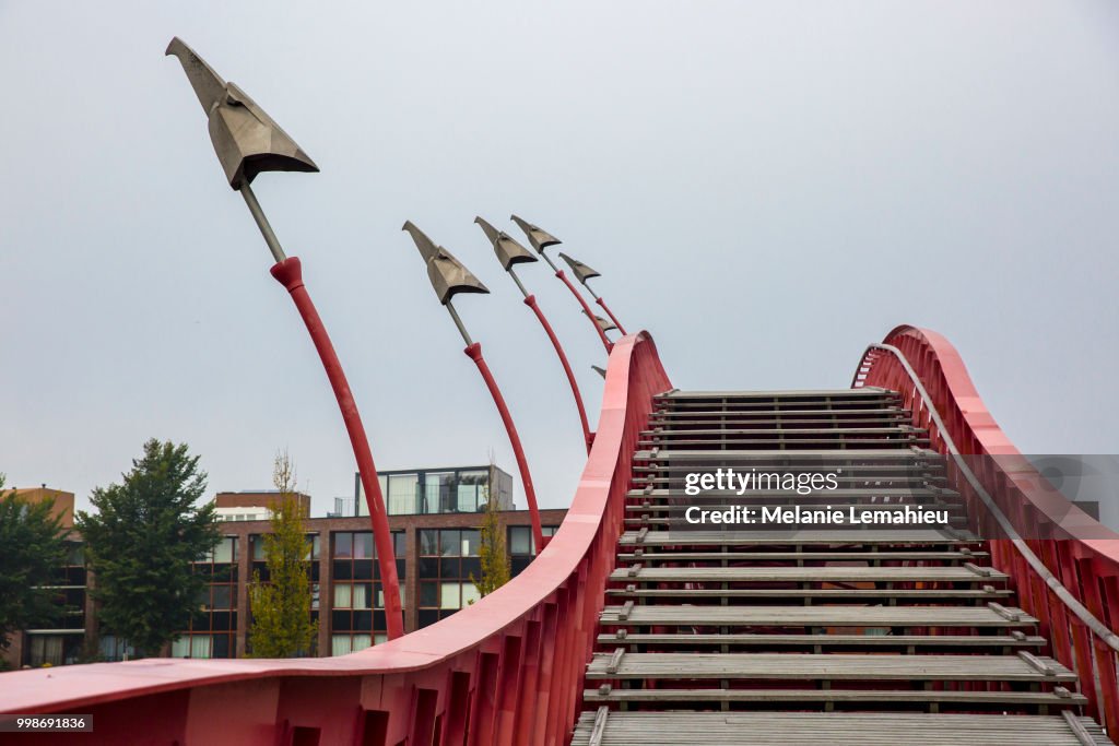 Section of modern pedestrian bridge Python in Amsterdam with design modern bird head sculptures