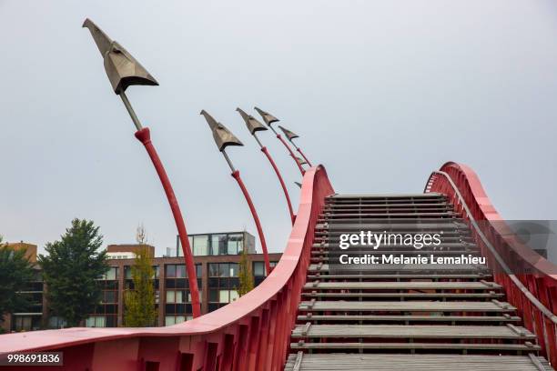Python Bridge Front View 53 Python Bridge Stock Photos, High-Res Pictures, and Images - Getty Images