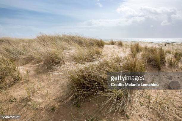 dunes on a beach of l'aiguillon sur mer, vendee, france - mer fotografías e imágenes de stock