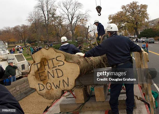 This year's Capitol Christmas Tree is a gift from the people of Vermont. This is actually the fifth time that Vermont has provided a tree to...