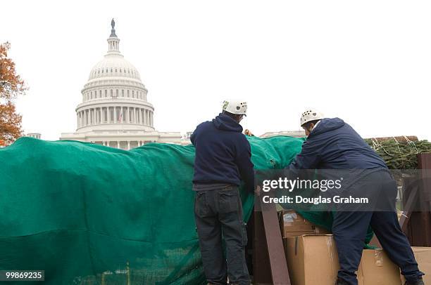 This year's Capitol Christmas Tree is a gift from the people of Vermont. This is actually the fifth time that Vermont has provided a tree to...