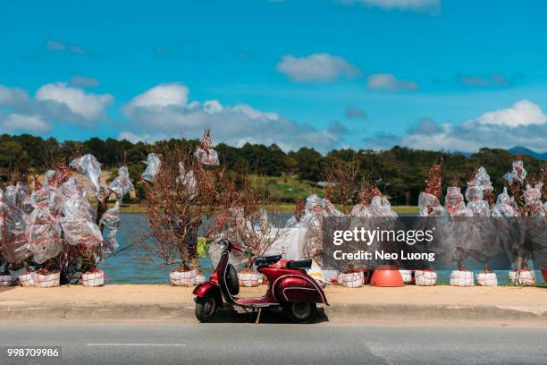 ðà lạt,vietnam - neo stock pictures, royalty-free photos & images