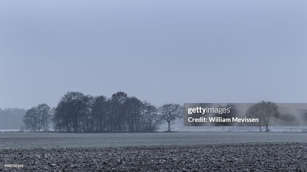 Rural Mist