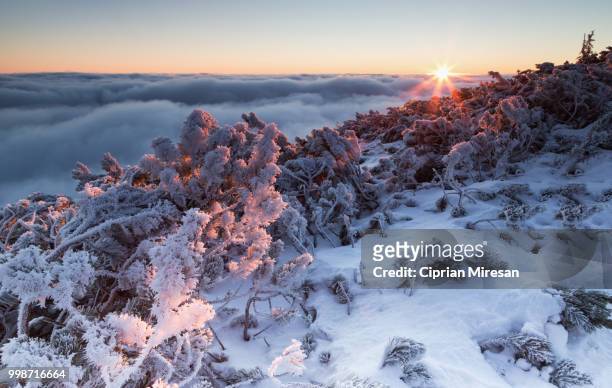 sunrise on the mountains - ciprian foto e immagini stock