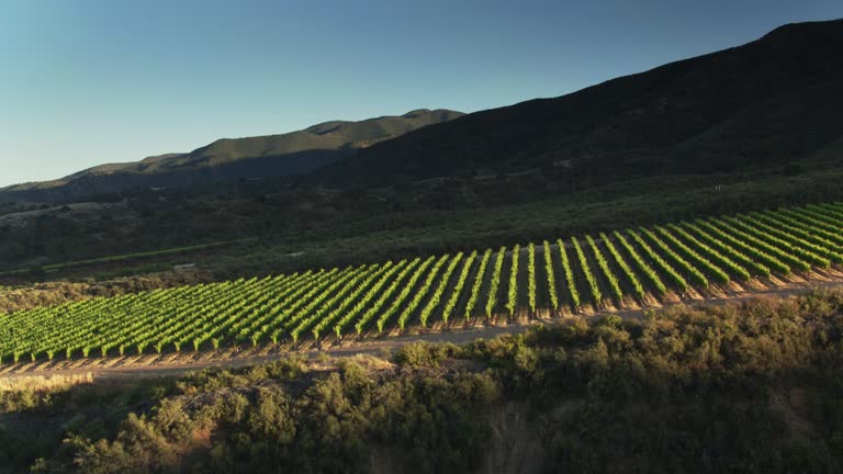 Farm Ridge Valley 3,477 Ridge Farm Stock Videos, Footage, & 4K Video Clips - Getty Images