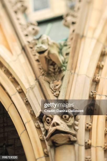 christ church cathedral, montreal, quebec, canada - christchurch cathedral stock pictures, royalty-free photos & images