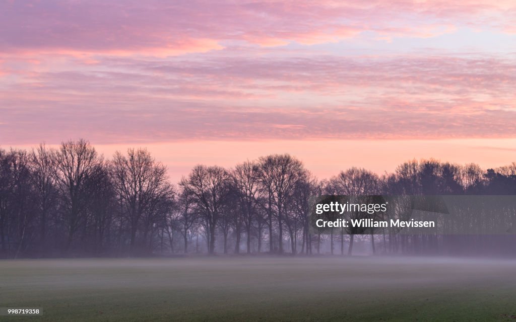 Misty Rural Twilight