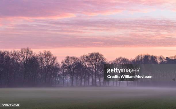 misty rural twilight - william mevissen stockfoto's en -beelden