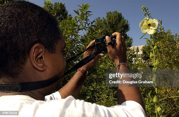Anthony Payne of Washington, D.C. Spends his day off photographing flowers and insects at Bartholdi Park, part of the U.S. Botanic Garden in...