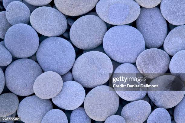 round and flat grey blue stones along rialto beach, olympic national park, washington state, usa - rialto beach stock pictures, royalty-free photos & images