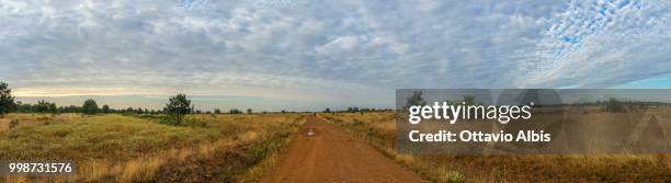 bush on the camino - caminho stock pictures, royalty-free photos & images