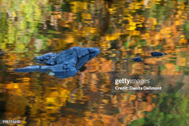 reflection on rogue river in autumn, oregon, usa - rogue river stock pictures, royalty-free photos & images