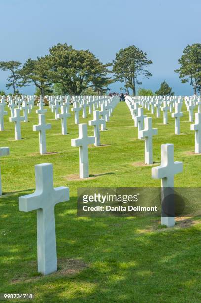 american cemetery, colleville, normandy, france - arromanches 個照片及圖片檔