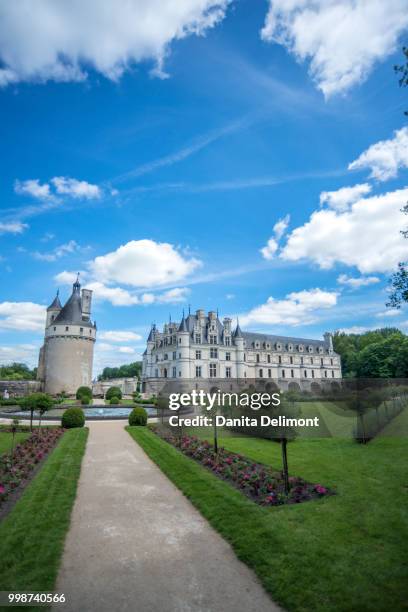 chateau de chenonceau, chenonceau, france - chenonceau stock pictures, royalty-free photos & images