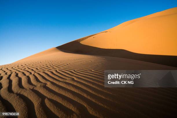 sahara desert ii ouarzazate - morocco - sahara stock pictures, royalty-free photos & images