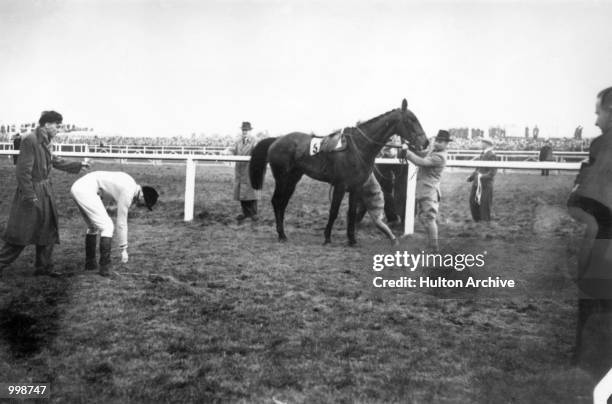 Jockey Dick Francis retrieves his whip after dismounting from the Queen Mother's horse, Devon Loch, which inexlicably stumbled fifty yards from the...