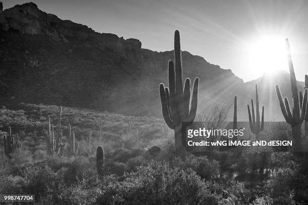 valley of the sun b&w - mage stock pictures, royalty-free photos & images