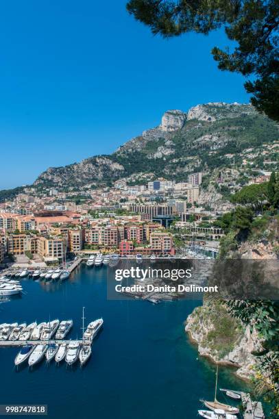 marina on sunny day, port de fontvieille, fontvieille, monaco - harbour of fontvieille stock pictures, royalty-free photos & images