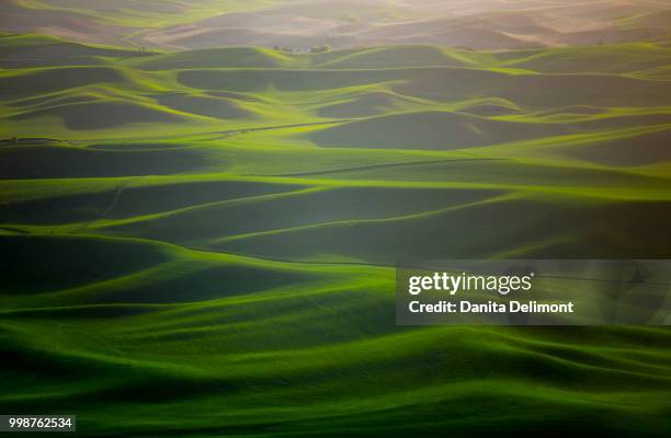 views from steptoe butte state park, whitman county, washington state, usa - washington county stock-fotos und bilder