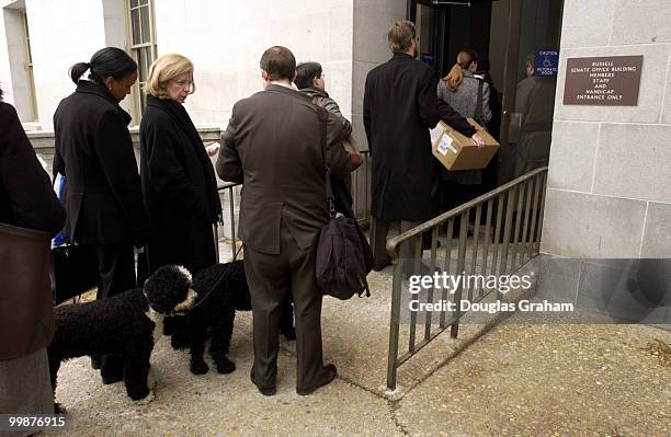 Staffers and public prepare to enter the Russell Senate Office Building after the building was declared safe after the ricin scare.