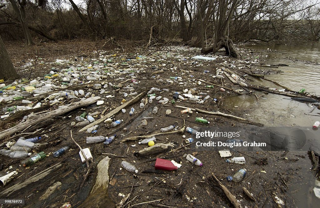 Anacostia and Potomac River Cleanup