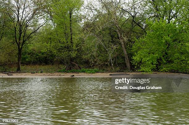 Here in Oxon Cove along the Potomac River the soda bottles that filled the shoreline are all gone. This is one of the target areas that Living Lands...