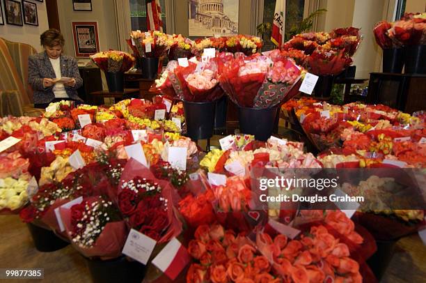 Senator Barbara Boxer received about 4000 roses in her office at the Hart Senate Office Building from her supporters on Valentine's Day, which she...