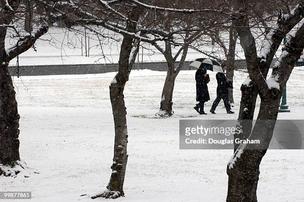 Capitol Hill staffers walk to work through the Upper Senate Park in Washington, D.C. On January 27, 2009.