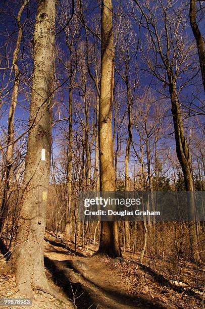 The Appalachian Trail known for its white blaze trail markings makes it's way from Springer Mountain Georgia to Mt. Katahdin Maine. Here in the...