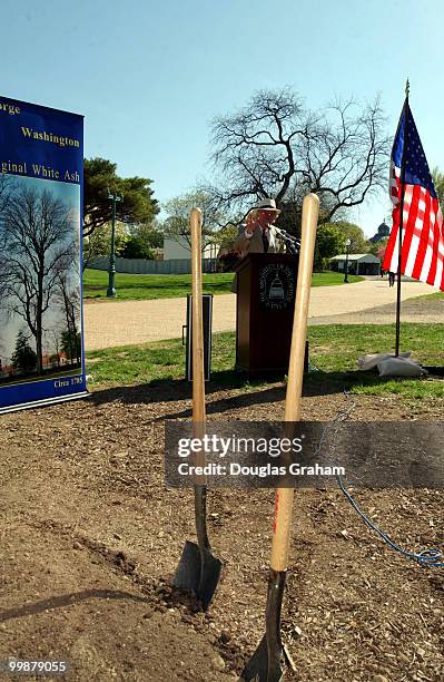 Mathew Evans from the office of the Architect of the Capitol during a ceremony in which a six foot sapling clone of a white ash grown by George...