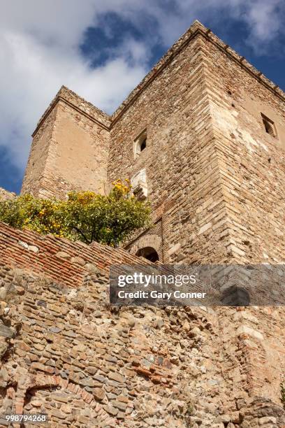 tower and wall and orange tree at alcazaba - alcazaba of málaga stock pictures, royalty-free photos & images