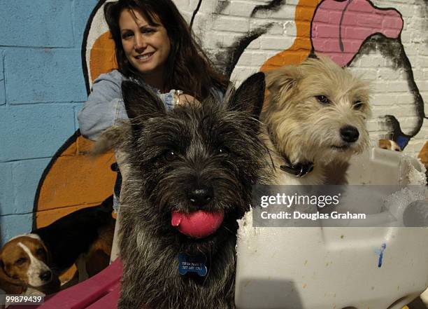 Lisa Schreiber owner of Wag Time spends some time with her K-9 clients during their outdoor play time.