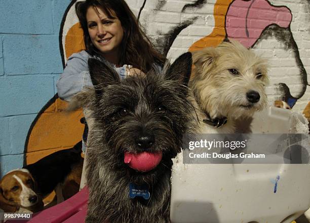 Lisa Schreiber owner of Wag Time spends some time with her K-9 clients during their outdoor play time.