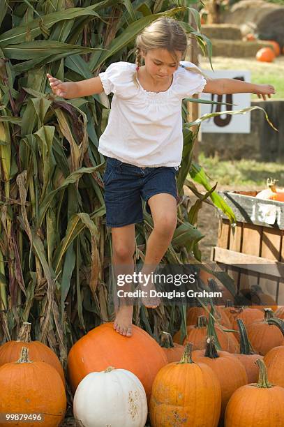 Carly Zurschmeide age 7 of Bluemont plays in the pumpkin display at Great Country Farms in Loudoun County Virginia on October 9, 2008. Great Country...