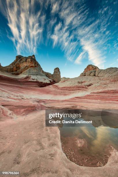 pool reflection and sandstone landscape, vermillion cliffs, white pocket wilderness, arizona, usa - vermillion stock pictures, royalty-free photos & images