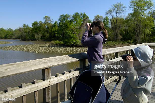 Sarah and Toby Zastrow glass one of the many tidal flats from the board walk at the Kenilworth Aquatic Gardens. The gardens are the only National...