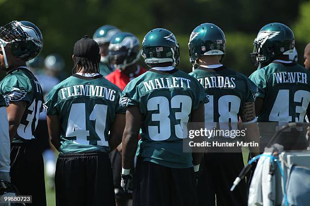 Running backs Keithon Flemming, Martell Mallett, Chris Zardas and Leonard Weaver Philadelphia Eagles participate in drills during mini-camp practice...