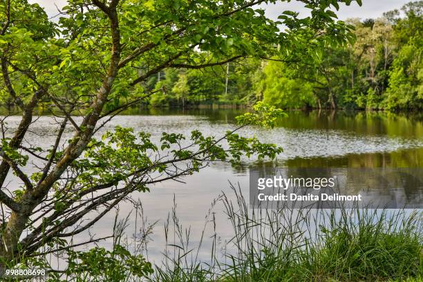 peaceful morning at horseshoe lake, shaker heights, ohio, usa - lago horseshoe imagens e fotografias de stock