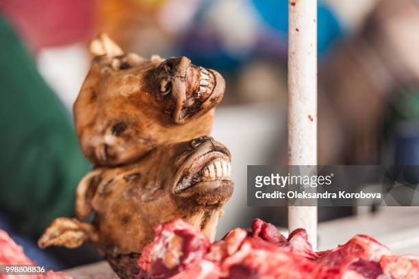 cured lamb heads, a local delicacy, for sale on display on a counter at a vintage south american fruit market. - head mount display stock pictures, royalty-free photos & images