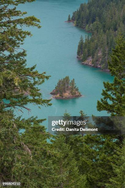 small island in diablo lake, north cascades national park, washington state, usa - diablo lake stock pictures, royalty-free photos & images