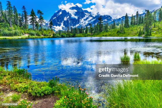 mt. shuksan reflecting in picture lake, mount baker highway, washington state, usa - mt shuksan stock pictures, royalty-free photos & images