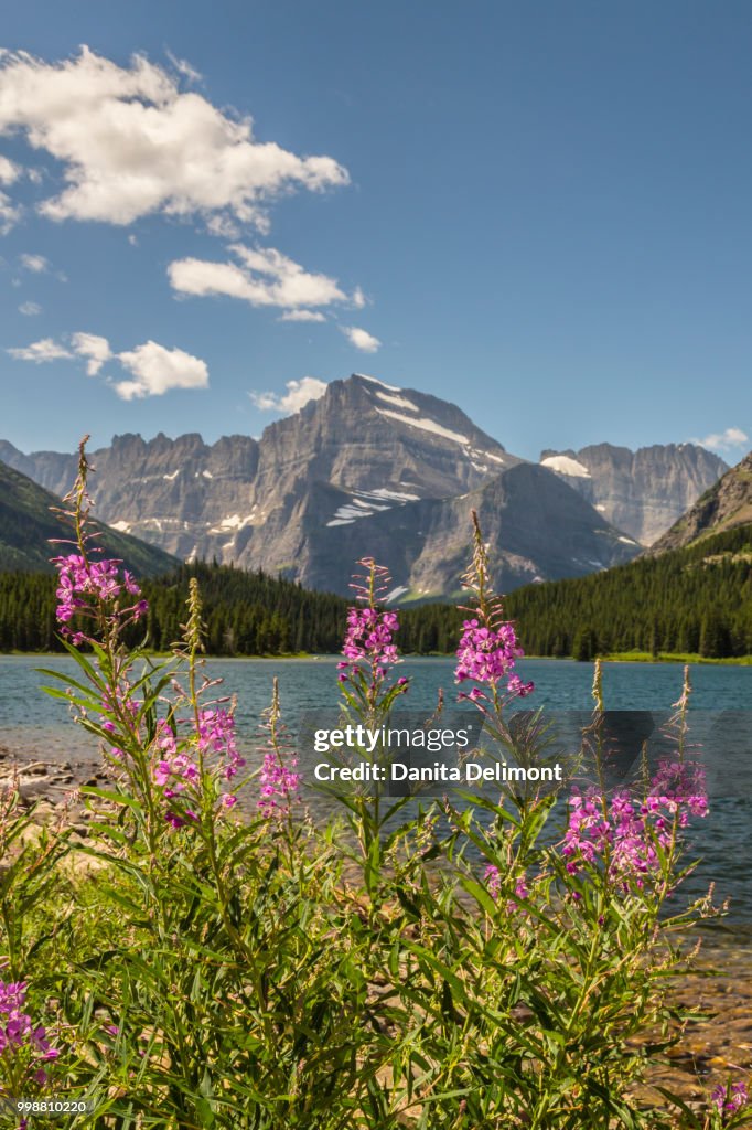 Landscape with Grinnell Point and Swiftcurrent Lake, Glacier National Park, Montana, USA