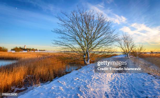 beautiful winter day - denmark winter stock pictures, royalty-free photos & images