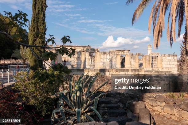 remains of the white synagogue in capernaum - capernaum film stock-fotos und bilder