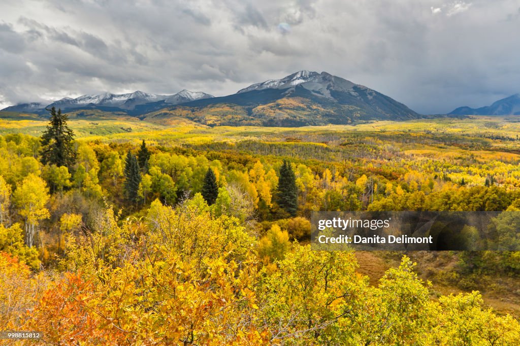 Fall colors near Kebler Pass, Crested Butte, Colorado, USA