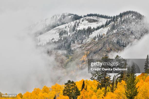 fog rolling on mountain surrounded by autumn colors, crested butte, colorado, usa - pitkin county stock pictures, royalty-free photos & images