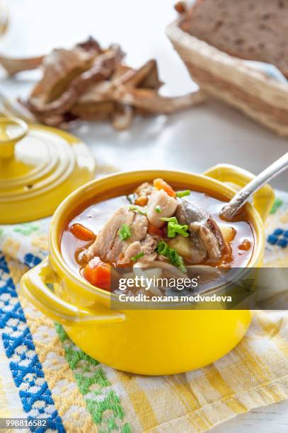 fresh boletus soup and noodles home in the yellow tureen village - medvedeva ストックフォトと画像